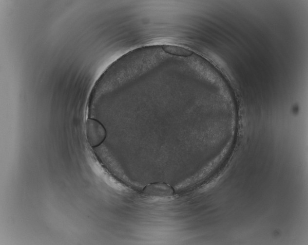 X0000111160892200907211224