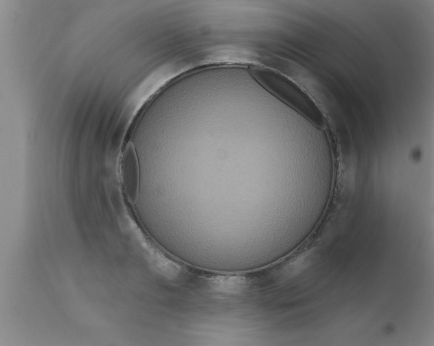 X0000111160893200907211224