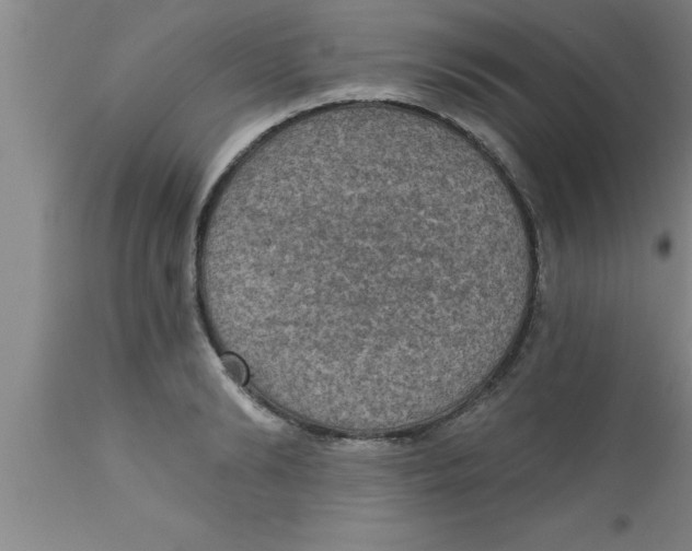 X0000111160894200907211224