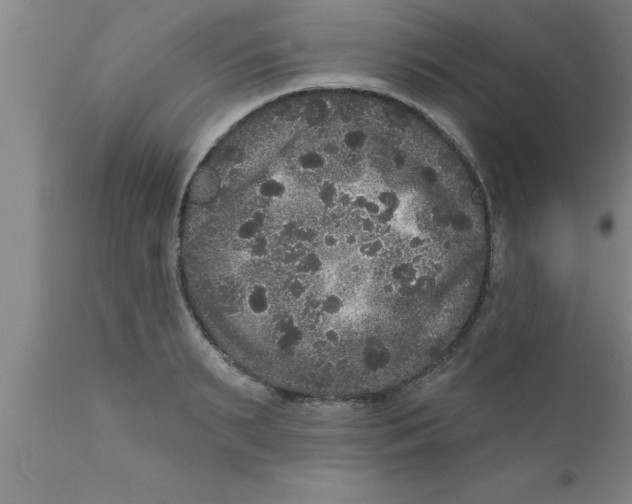 X0000111160895200907211224