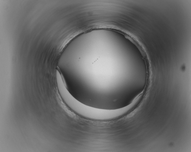 X0000111160897200907211224