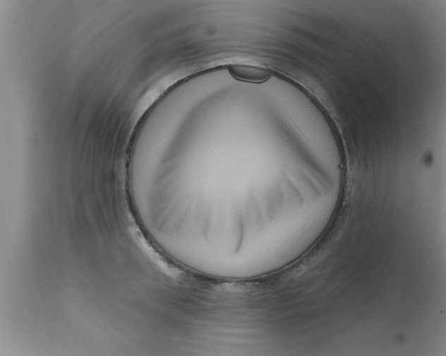 X0000111160898200907211224