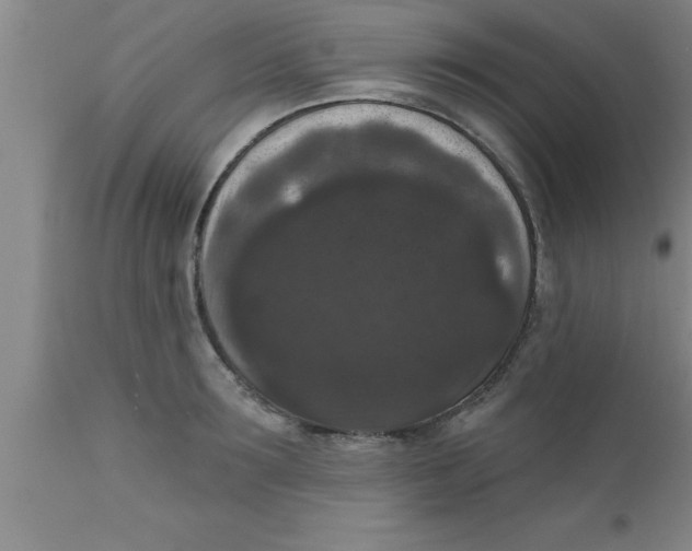 X0000111160899200907211224