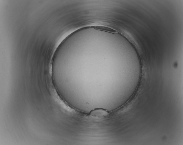 X0000111160900200907211224