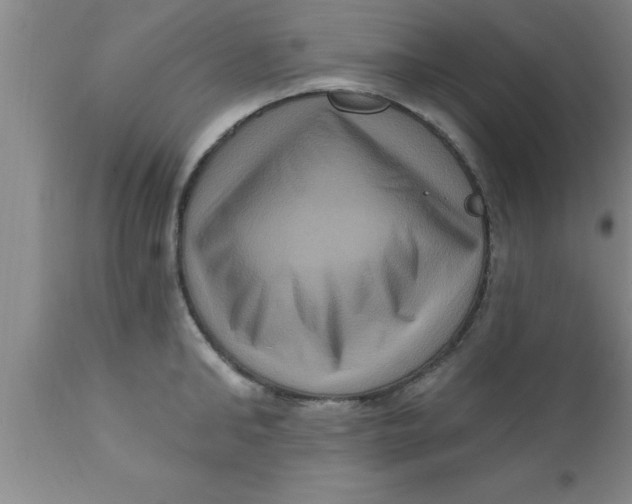 X0000111160902200907211224