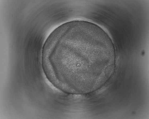 X0000111160903200907211224