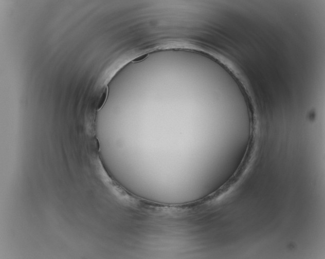 X0000111160905200907211224