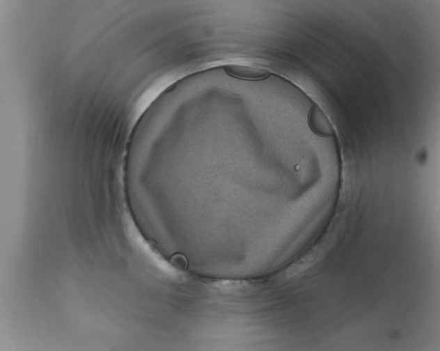 X0000111160906200907211224