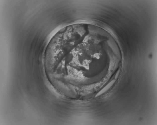 X0000111160907200907211224