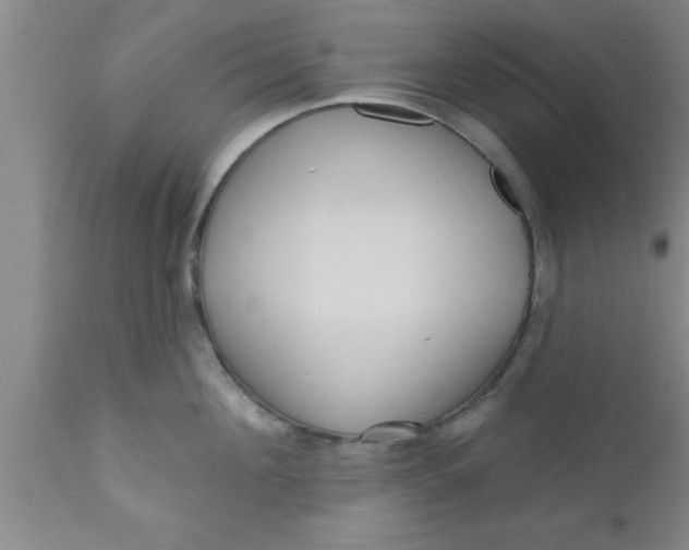 X0000111160908200907211224