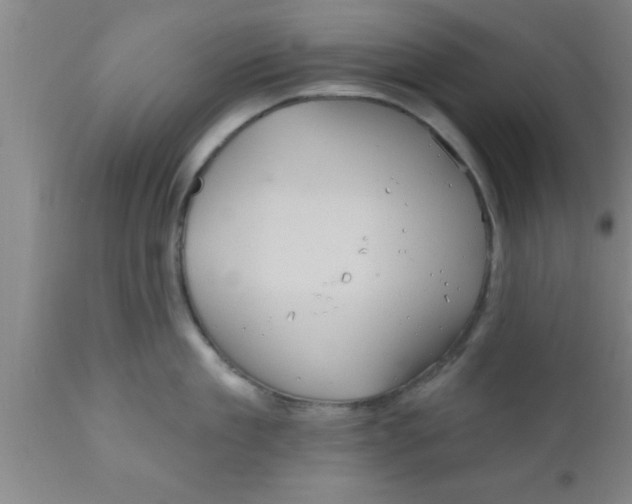 X0000111160909200907211224