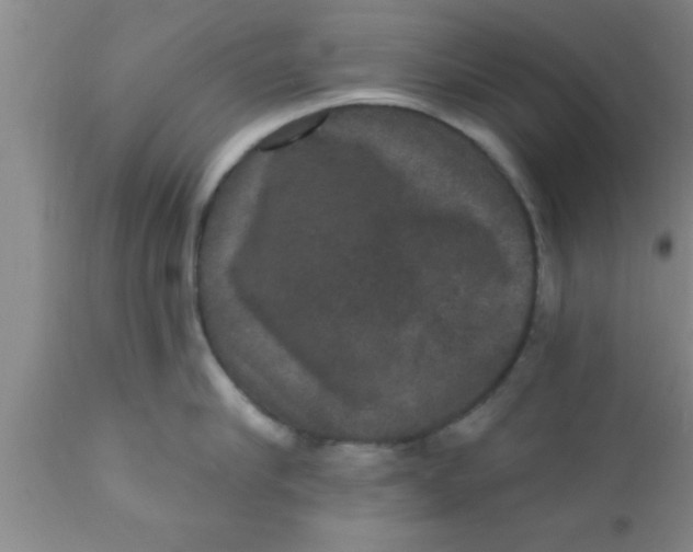 X0000111160910200907211224