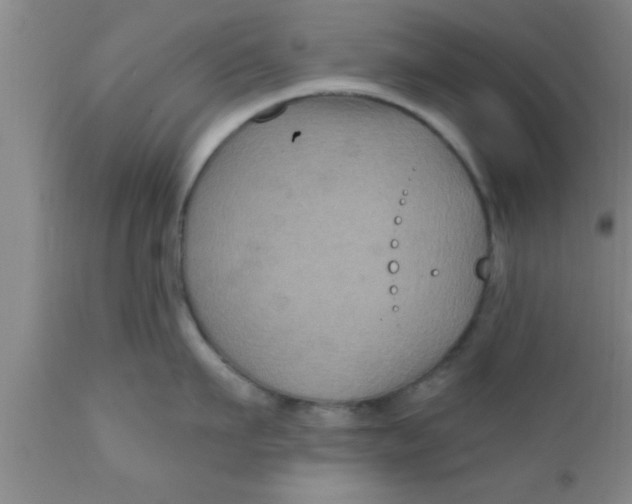 X0000111160911200907211224