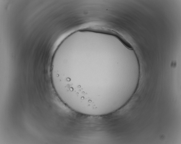 X0000111160912200907211224