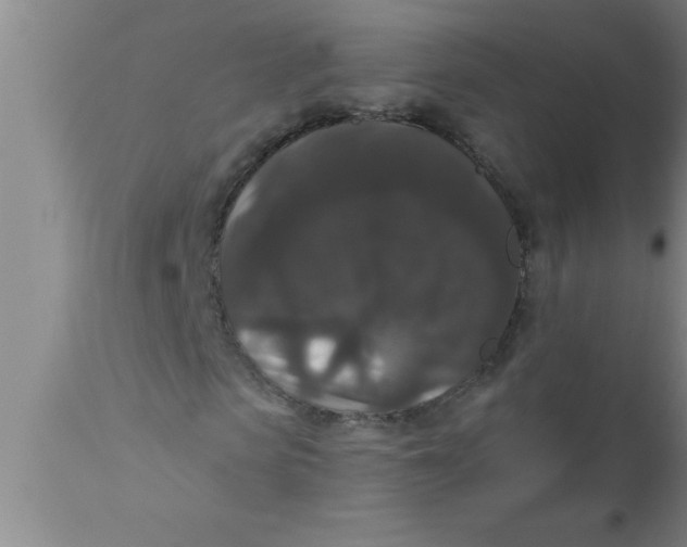 X0000111160913200907211223