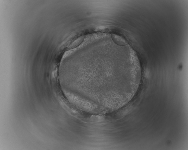 X0000111160914200907211223