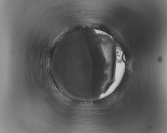 X0000111160915200907211223