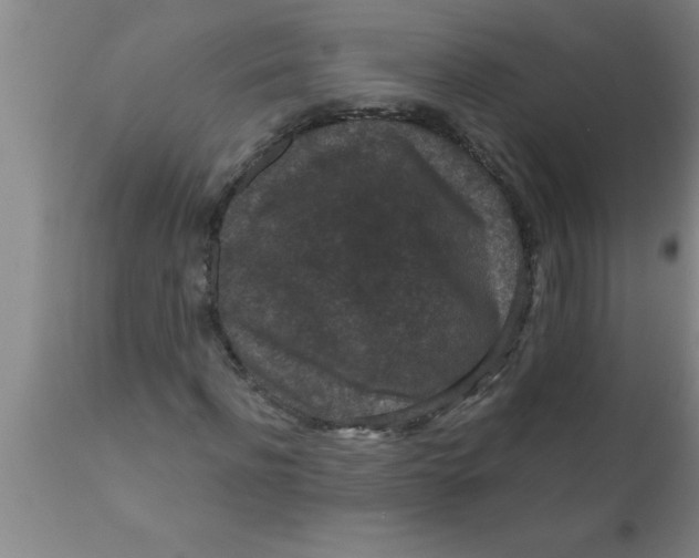 X0000111160916200907211223