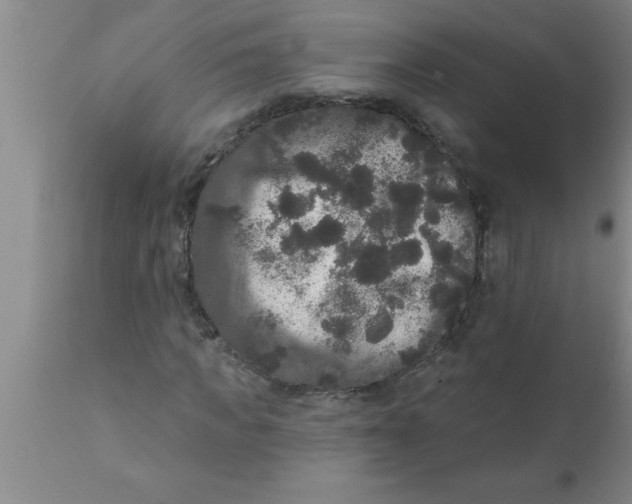 X0000111160917200907211223