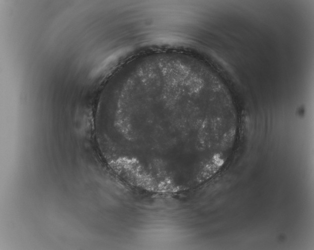 X0000111160918200907211223