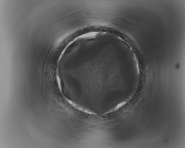 X0000111160919200907211223