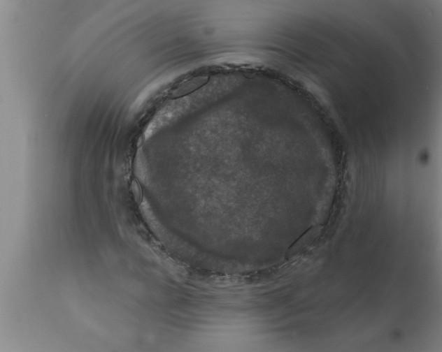 X0000111160920200907211223