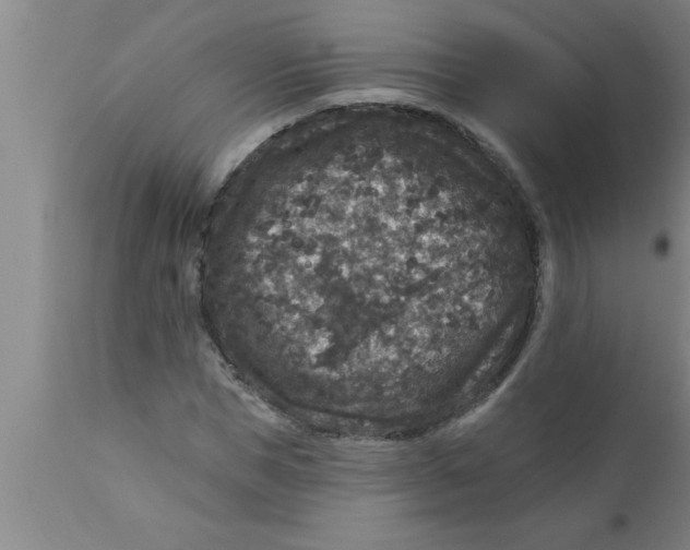 X0000111160921200907211223