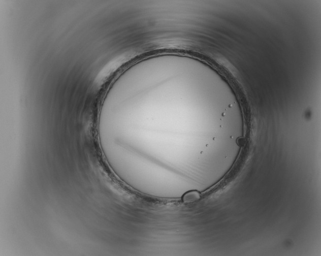 X0000111160922200907211223