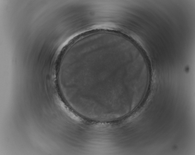 X0000111160923200907211223