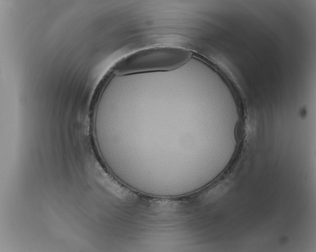 X0000111160924200907211223