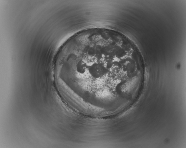 X0000111160925200907211223