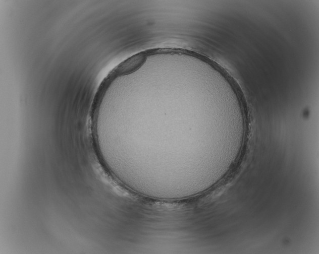 X0000111160928200907211223