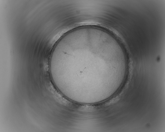 X0000111160929200907211223