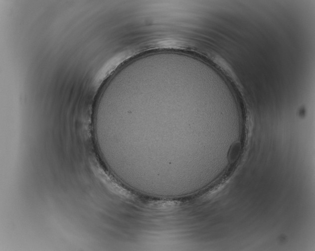 X0000111160930200907211223