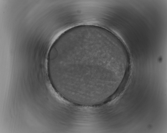 X0000111160932200907211224