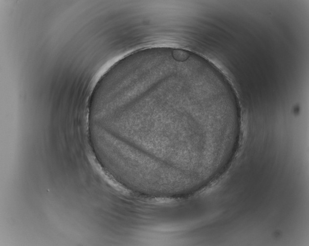 X0000111160933200907211224