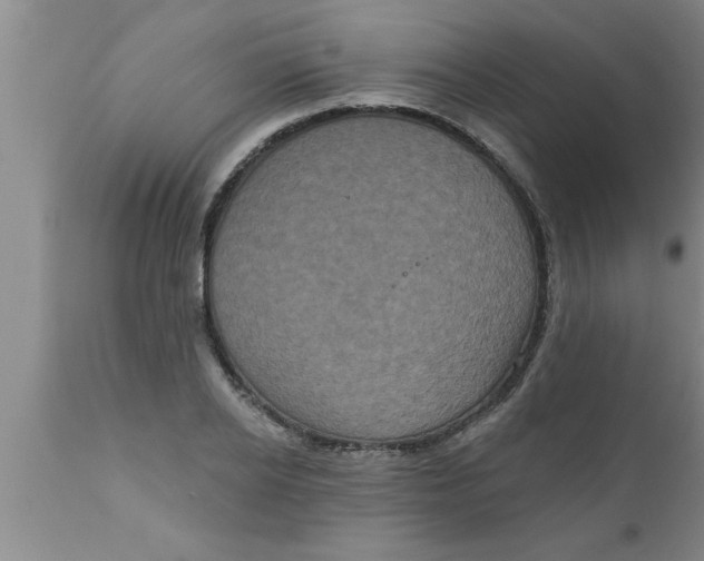 X0000111160934200907211224