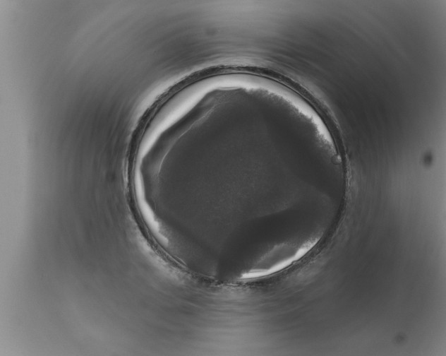 X0000111160935200907211224