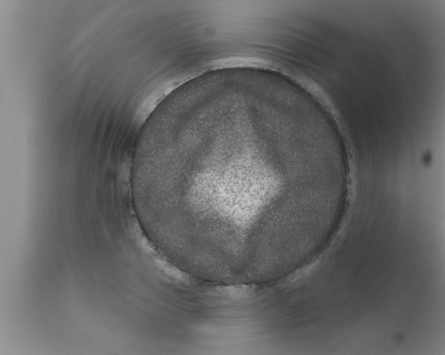 X0000111160937200907211224