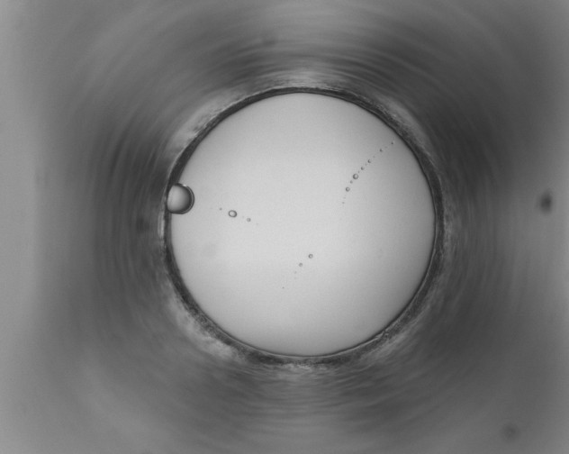 X0000111160938200907211224