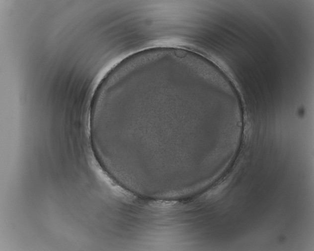 X0000111160939200907211224