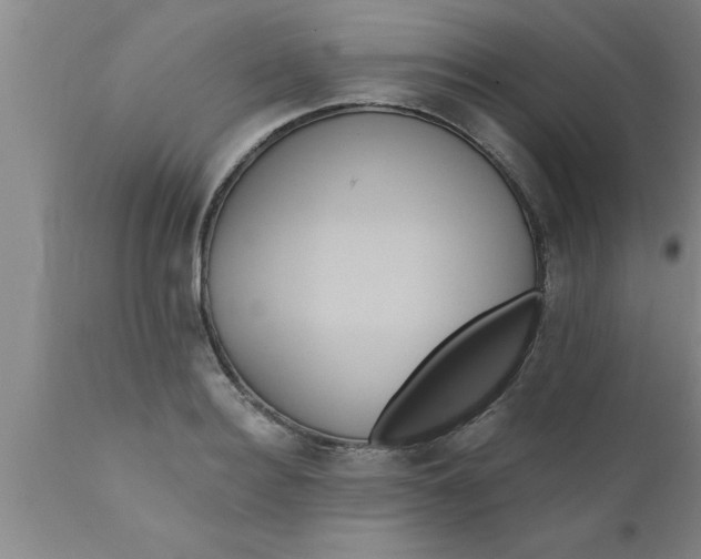 X0000111160940200907211224