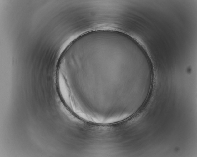 X0000111160941200907211224