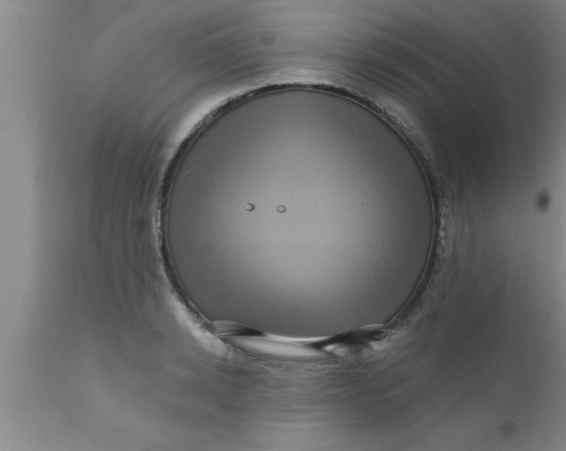 X0000111160942200907211224