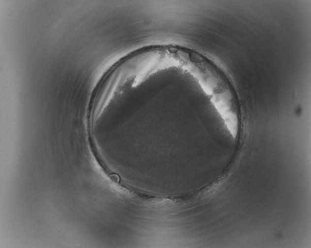 X0000111160943200907211224