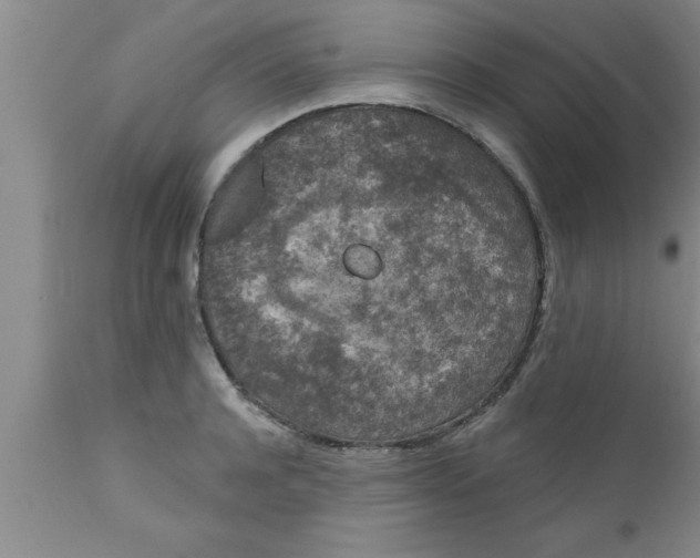 X0000111160944200907211224