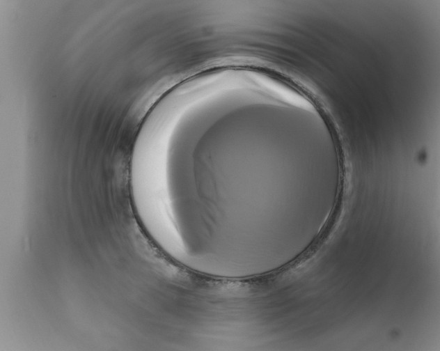 X0000111160945200907211224