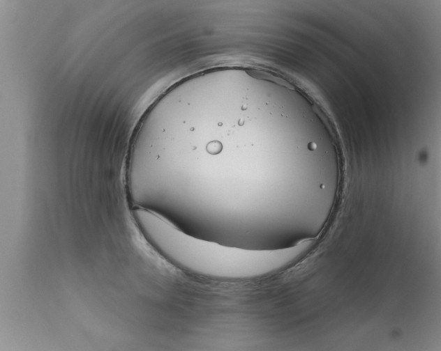 X0000111160946200907211224