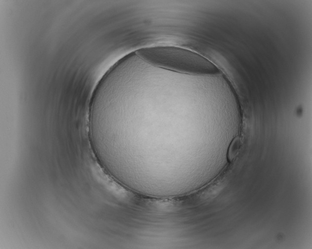 X0000111160948200907211224