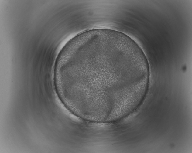 X0000111160949200907211224